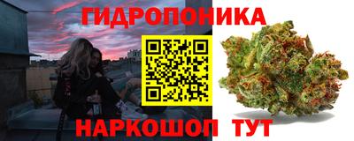 a pvp Камышлов