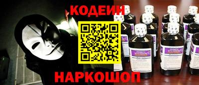 a pvp Камышлов