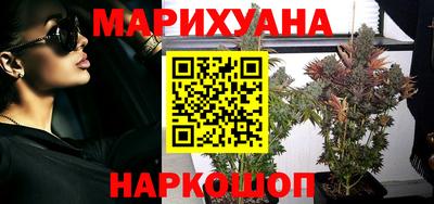 a pvp Камышлов