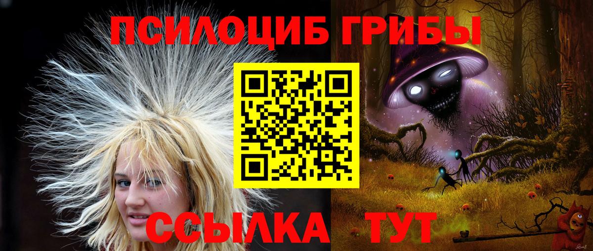 Майкоп  Псилоцибиновые грибы ЛСД  сколько стоит  Вход с VPN 