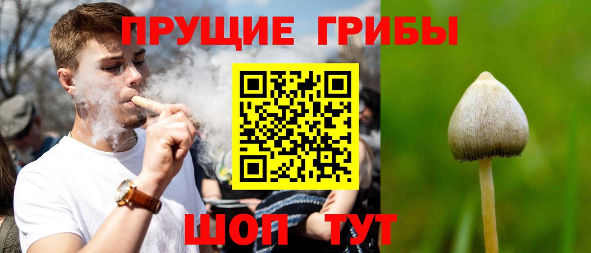 Галлюциногенные грибы Cubensis Майкоп
